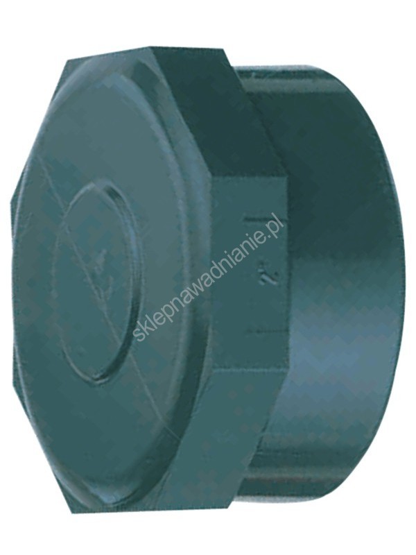 ZAŚLEPKA PVC 1" GW